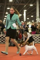 FEHOVA Winter Dog Show 2016
