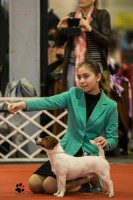 20.02.2016. Budapest CACIB Junior Handler