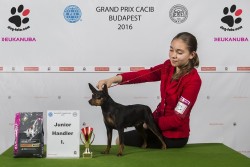 2016.06.05. Budapest Grand Prix