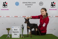 2016.06.05. Budapest Grand Prix III.