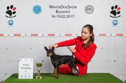 2017.02.19. Budapest CACIB III.
