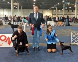 HJCH HCH HSCH Arco Iris from Hungary Consuela Exc.1, CAC, CACIB, BOS