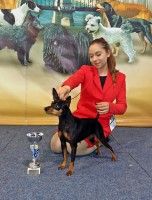 Junior Handler 1.place