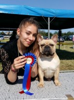 Soroksri Boldog Bulldog Face: In a strong competition he won Best of Breed