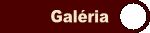 Gal�ria