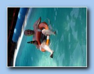 [Click to enlarge image]