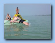 [Click to enlarge image]