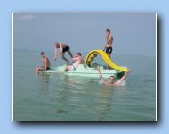 [Click to enlarge image]