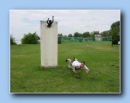 [Click to enlarge image]