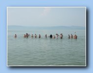 [Click to enlarge image]