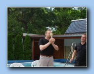 [Click to enlarge image]