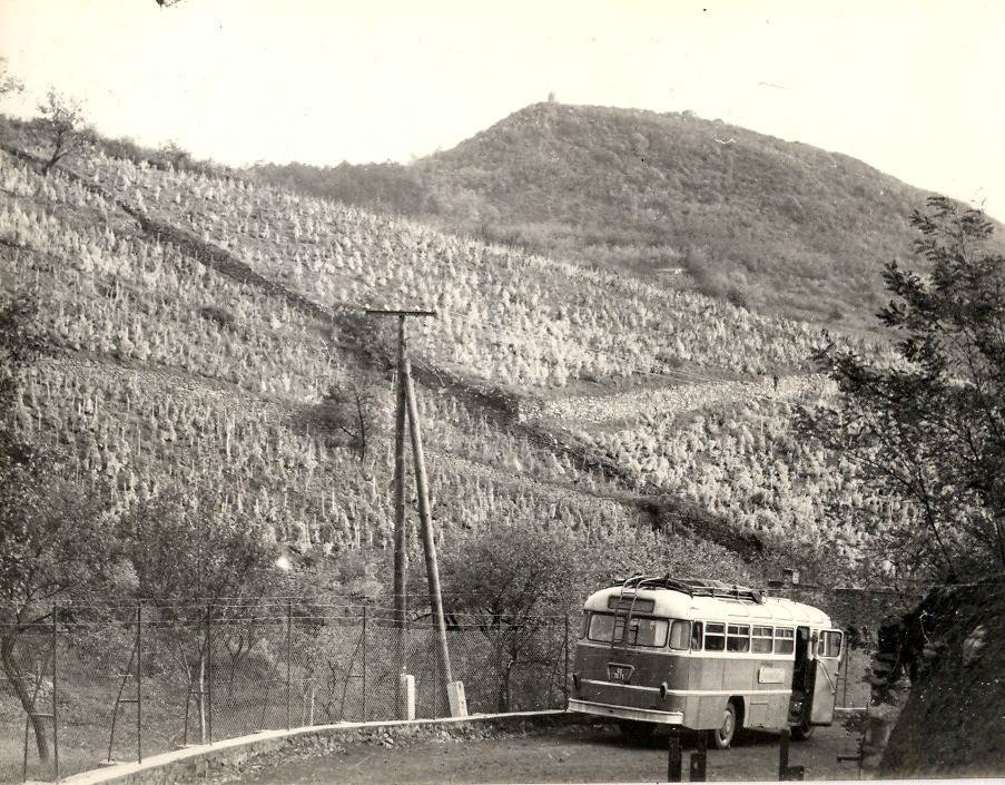 ja28.jpg