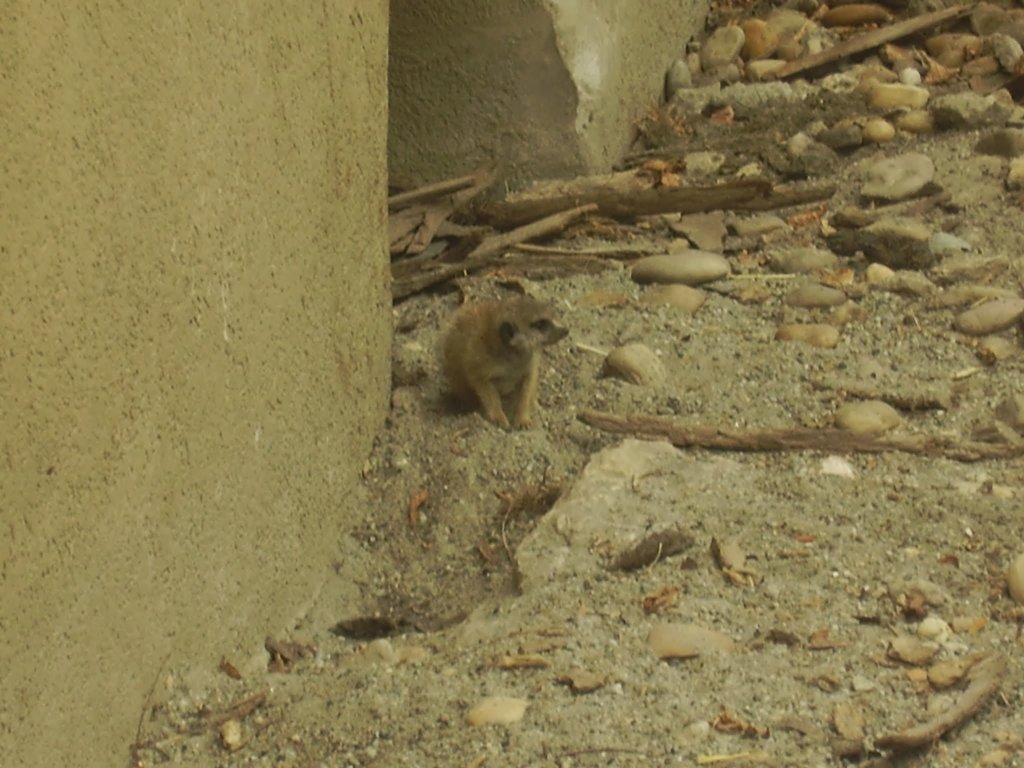 pa280038.jpg