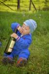 dsc_0785_small.jpg