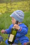 dsc_0791_small.jpg