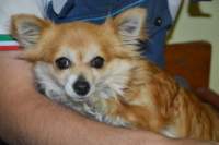 dsc_0862_small.jpg