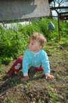 dsc_0877_small.jpg