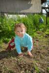 dsc_0878_small.jpg