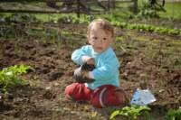 dsc_0895_small.jpg