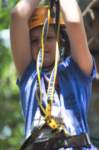 m150618e2940a1_small.jpg