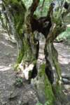 m160820e7322a0_small.jpg