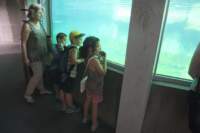 m160701e7152a1_small.jpg