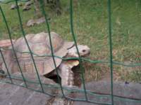 p1010206_small.jpg