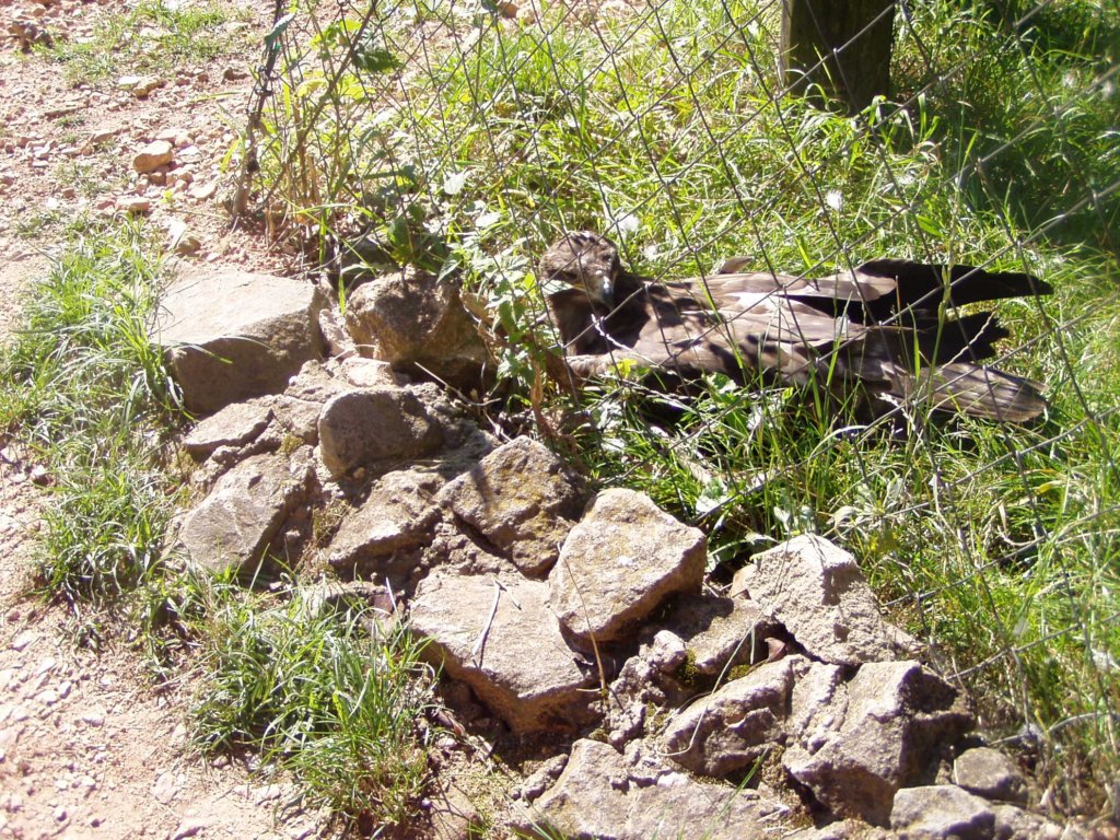 p1010332.jpg