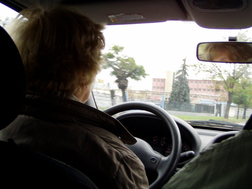 p1010186.jpg