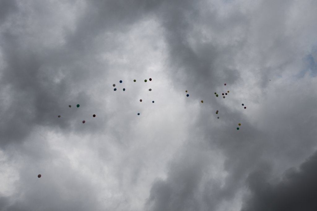 l170616e0828a1.jpg