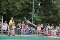 l170715e1298a1_small.jpg
