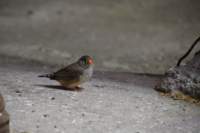 l170715e1303a0_small.jpg
