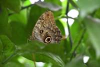 l170715e1324a0_small.jpg