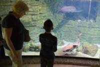 l170715e1376a1_small.jpg