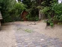 p7150037_small.jpg