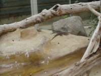 p7150094_small.jpg