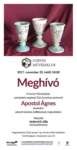 _11_20_meghivo2_small.jpg