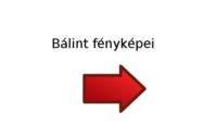 blint_kpei_small.jpg