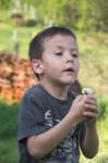 m180422e9022a1_small.jpg