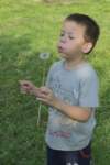 m180423e9041a1_small.jpg