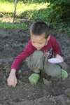 m180507e9061a1_small.jpg