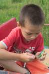 m180606e9235a1_small.jpg