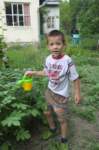 m180621e9273a1_small.jpg