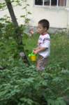 m180621e9276a1_small.jpg