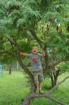 m180724e9354a1_small.jpg