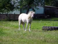 p7240003_small.jpg