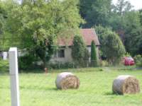 p7240018_small.jpg