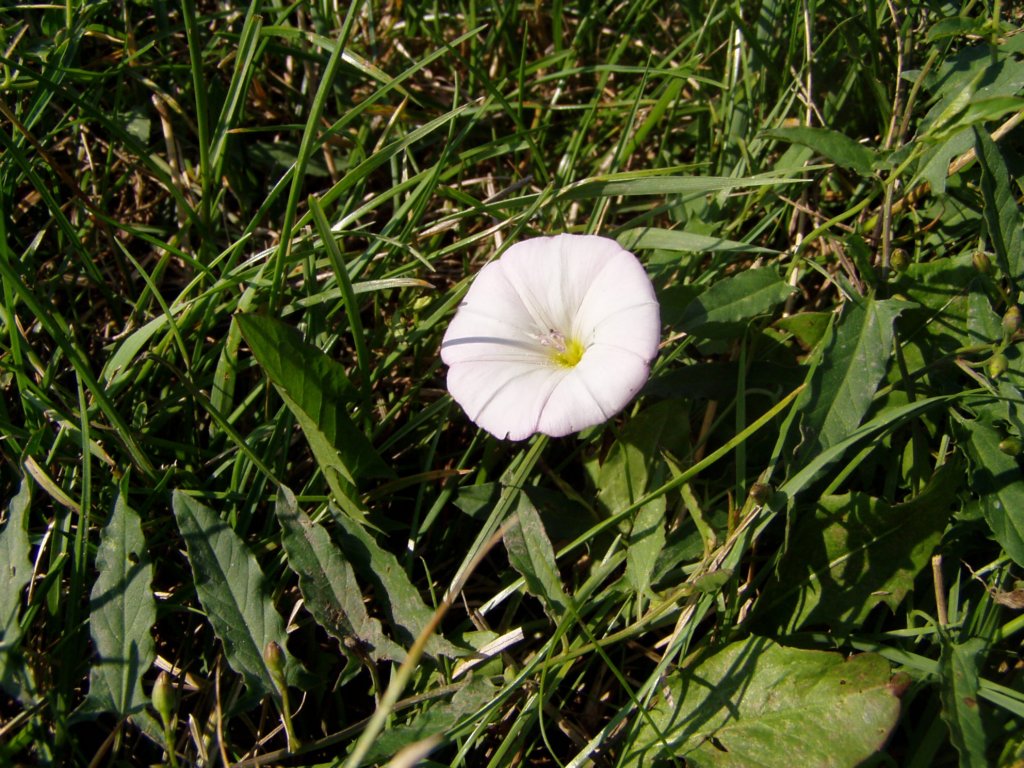 p7250143.jpg