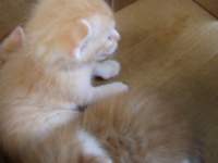 p8040210_small.jpg