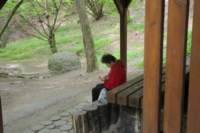 m190503e9893a1_small.jpg